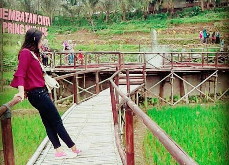 instagram.com/jembatancintapurbalinga