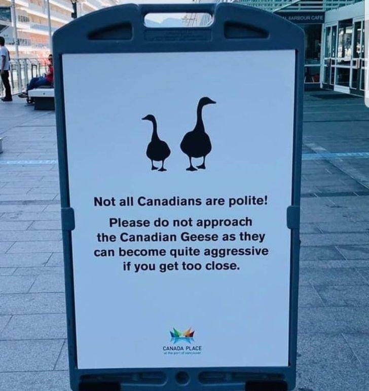 reddit.com/@Shy_Cryptic