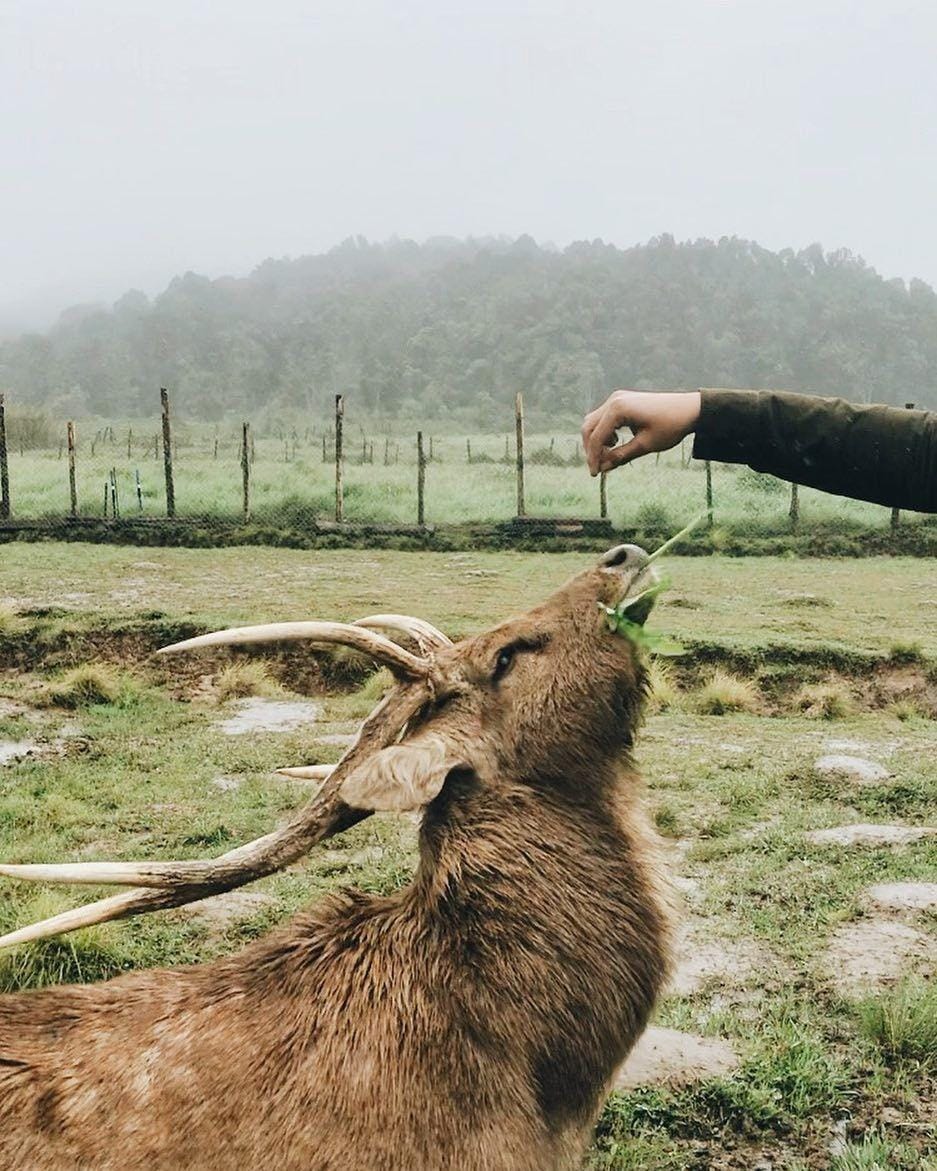 instagram.com/reynaldoroo