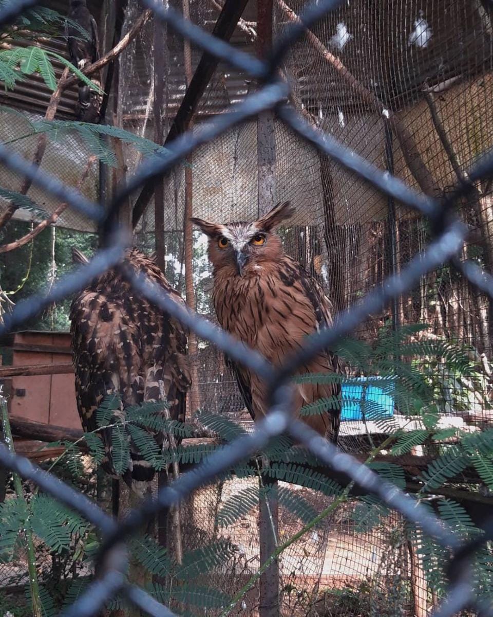 instagram.com/elfridacr