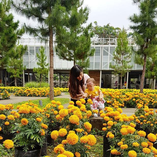 instagram.com/rachelle.gracia