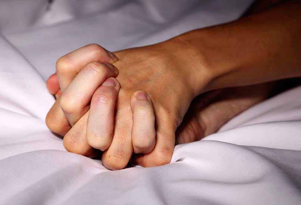 cannabisgourmet.buzz