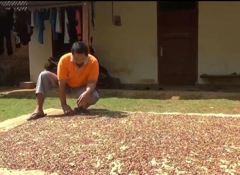 Dok.IDN Times/Istimewa