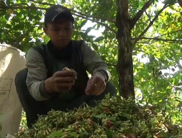 Dok.IDN Times/Istimewa