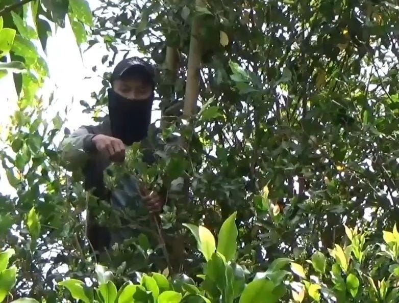 Dok.IDN Times/Istimewa