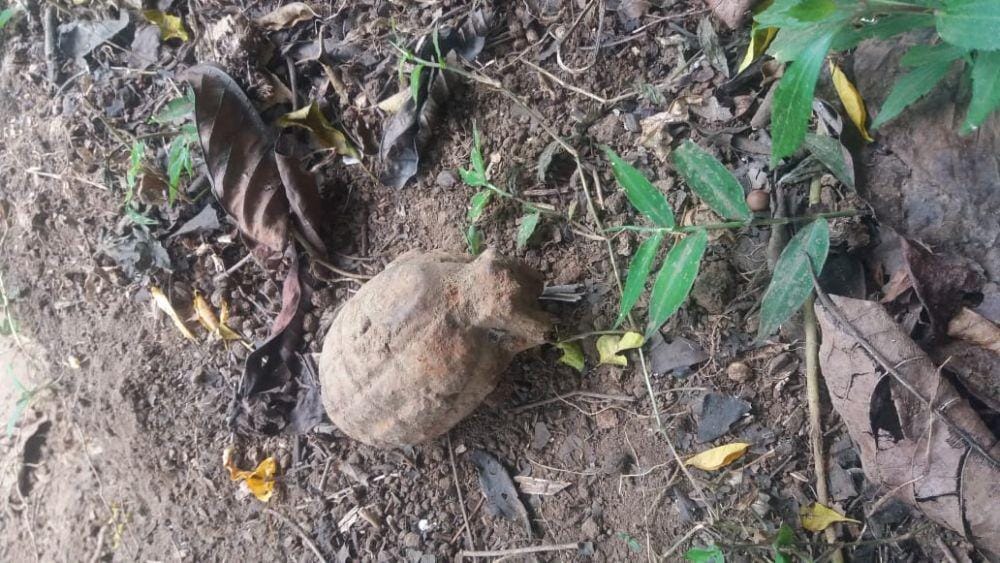 Dok.IDN Times/Istimewa