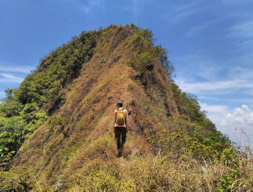 instagram.com/@jeparahariini