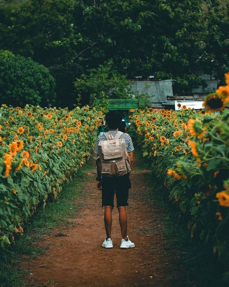 instagram.com/dinaryoga_