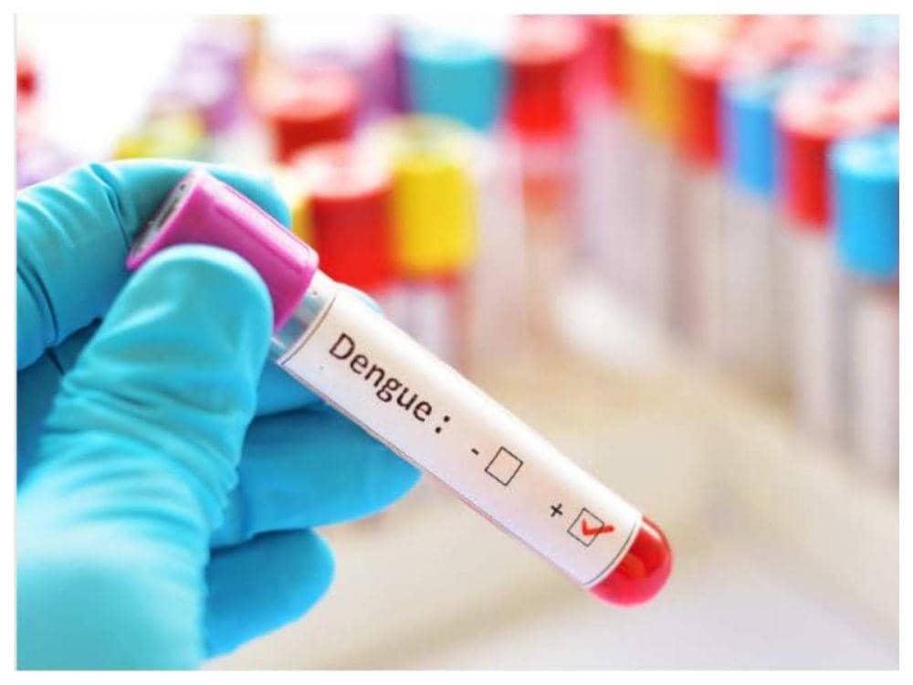 timesofindia.indiatimes.com