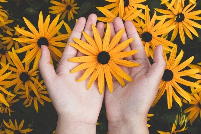 Pexels/javon-swaby-197616