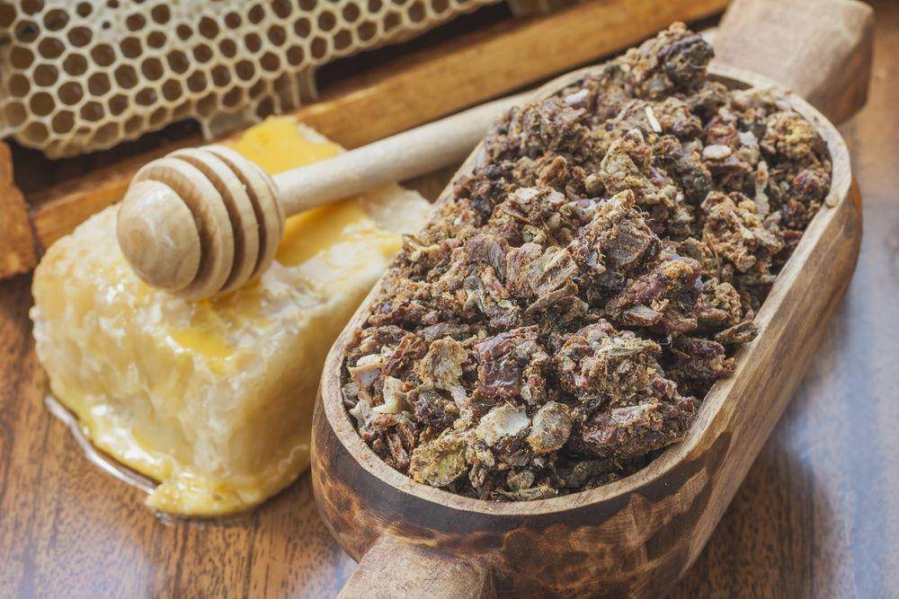 naturallivingideas.com