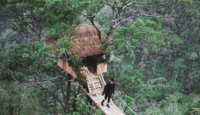 instagram,com/@halojepara