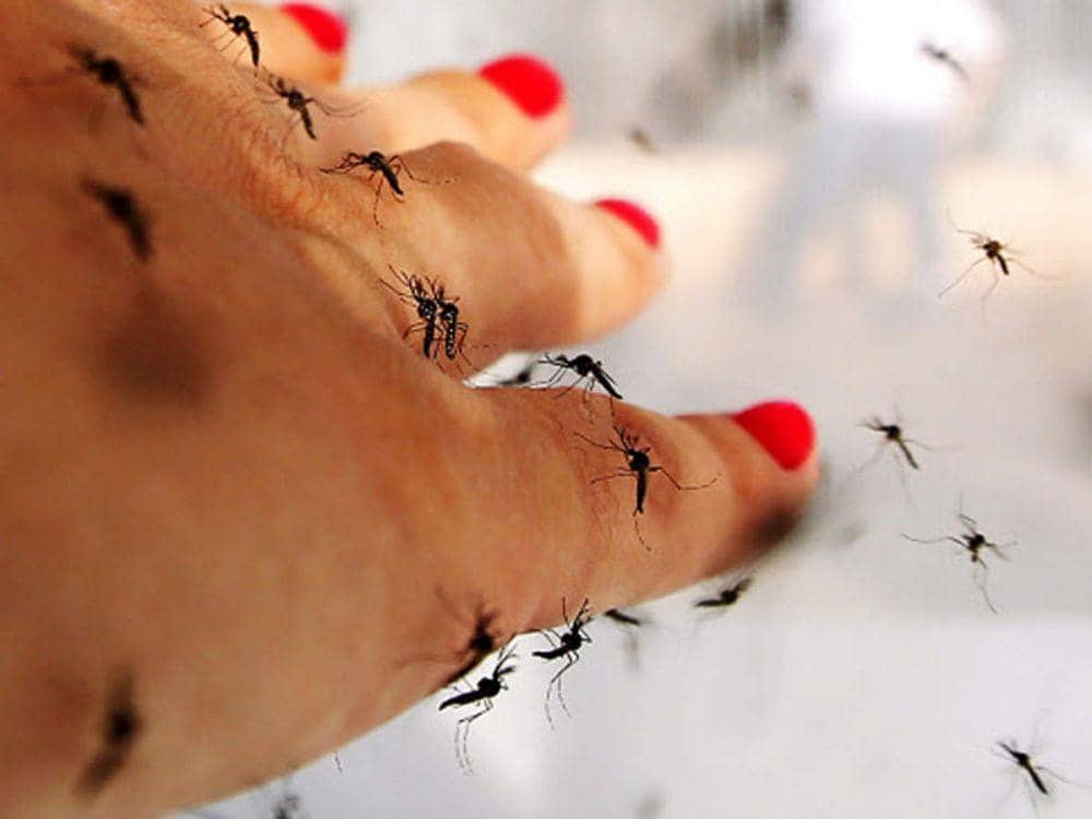 economictimes.indiatimes.com