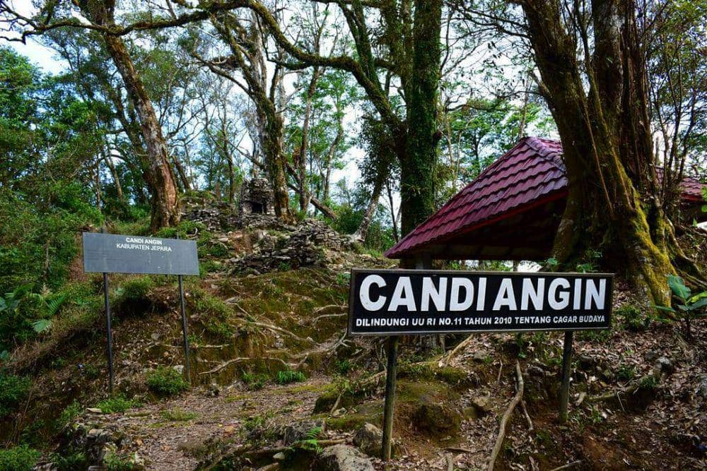 instagram.com/@halojepara