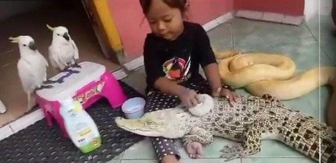 Twitter.com/HitamPutihT7