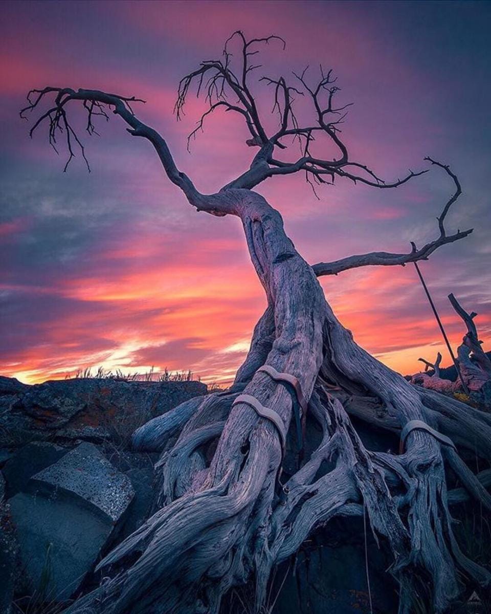 instagram.com/wildereise