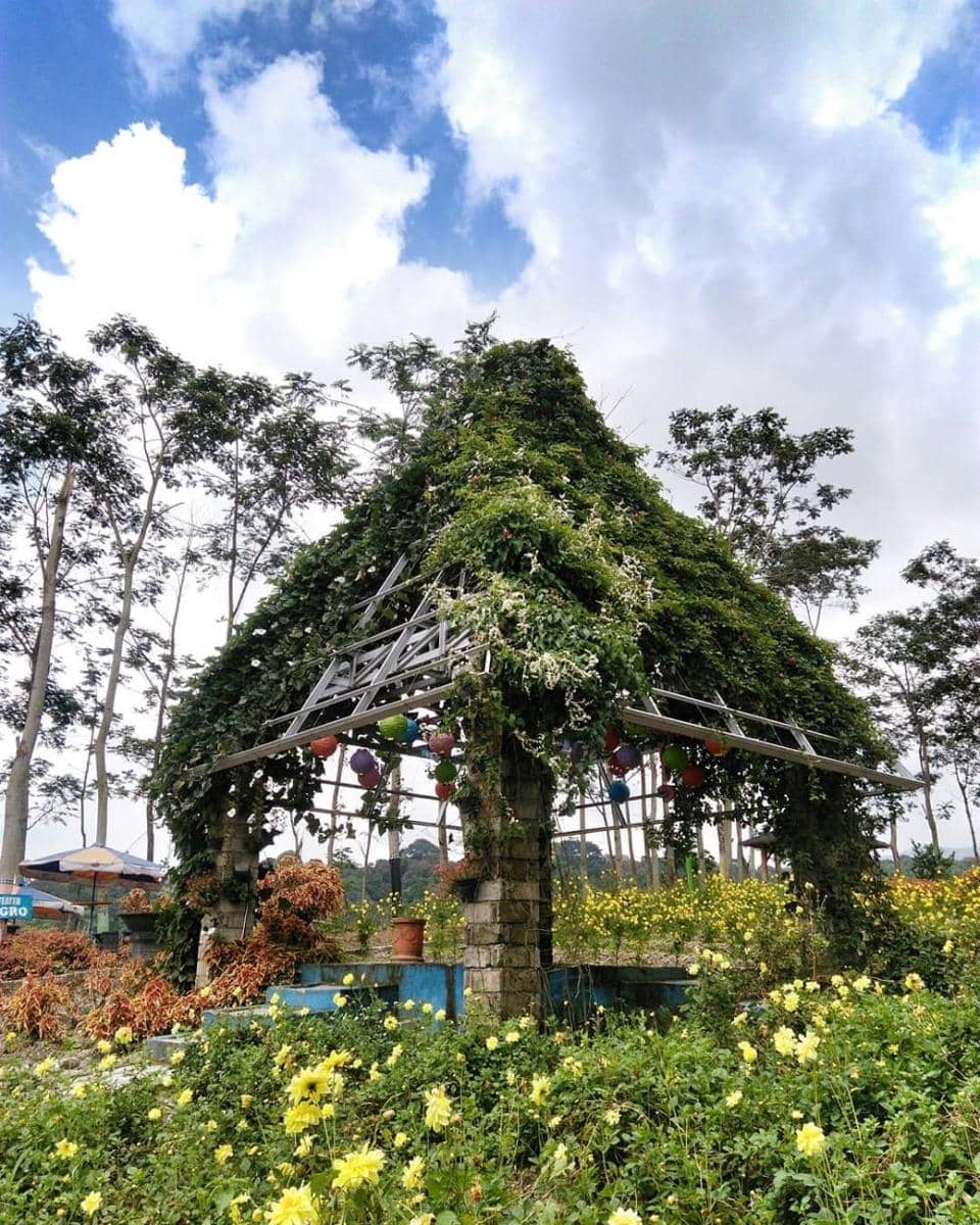 instagram.com/happyyuswita