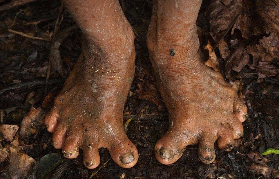 mediadrumwolrd / Pete Oxford