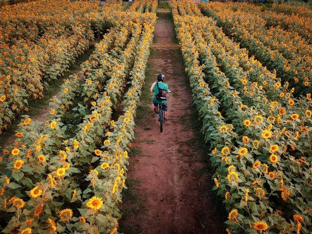 instagram.com/kokotrisilo