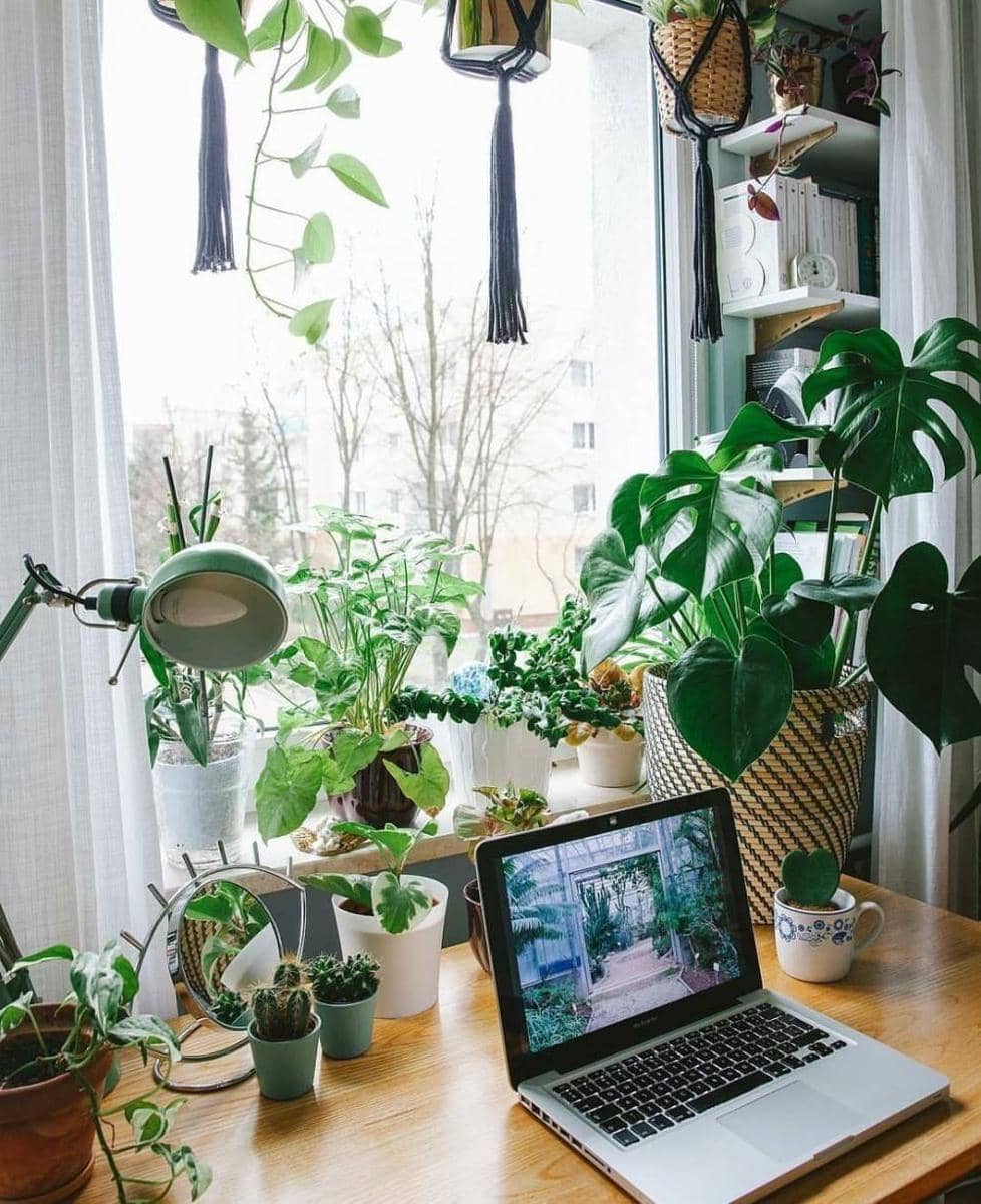 instagram.com/nerdsonsite