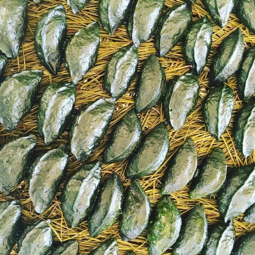 instagram.com/prettykangdani