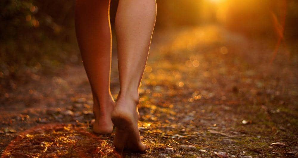 thesacredscience.com