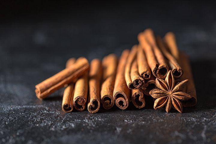 pixabay.com/Daria-Yakovleva