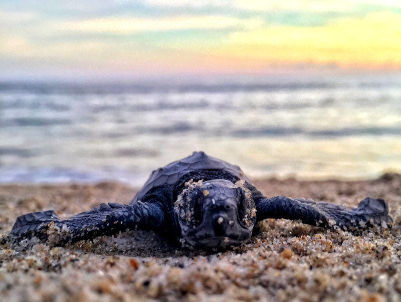 unsplash.com/Mitch Lensink