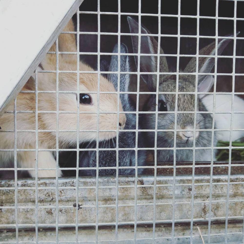 instagram.com/rizkyadityasawitri