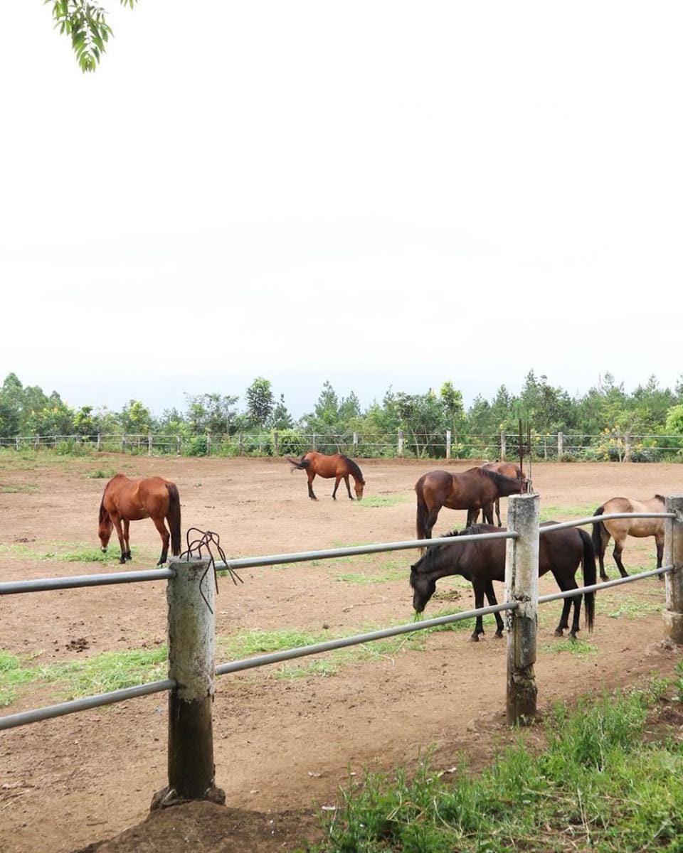 instagram.com/kekegeniouz