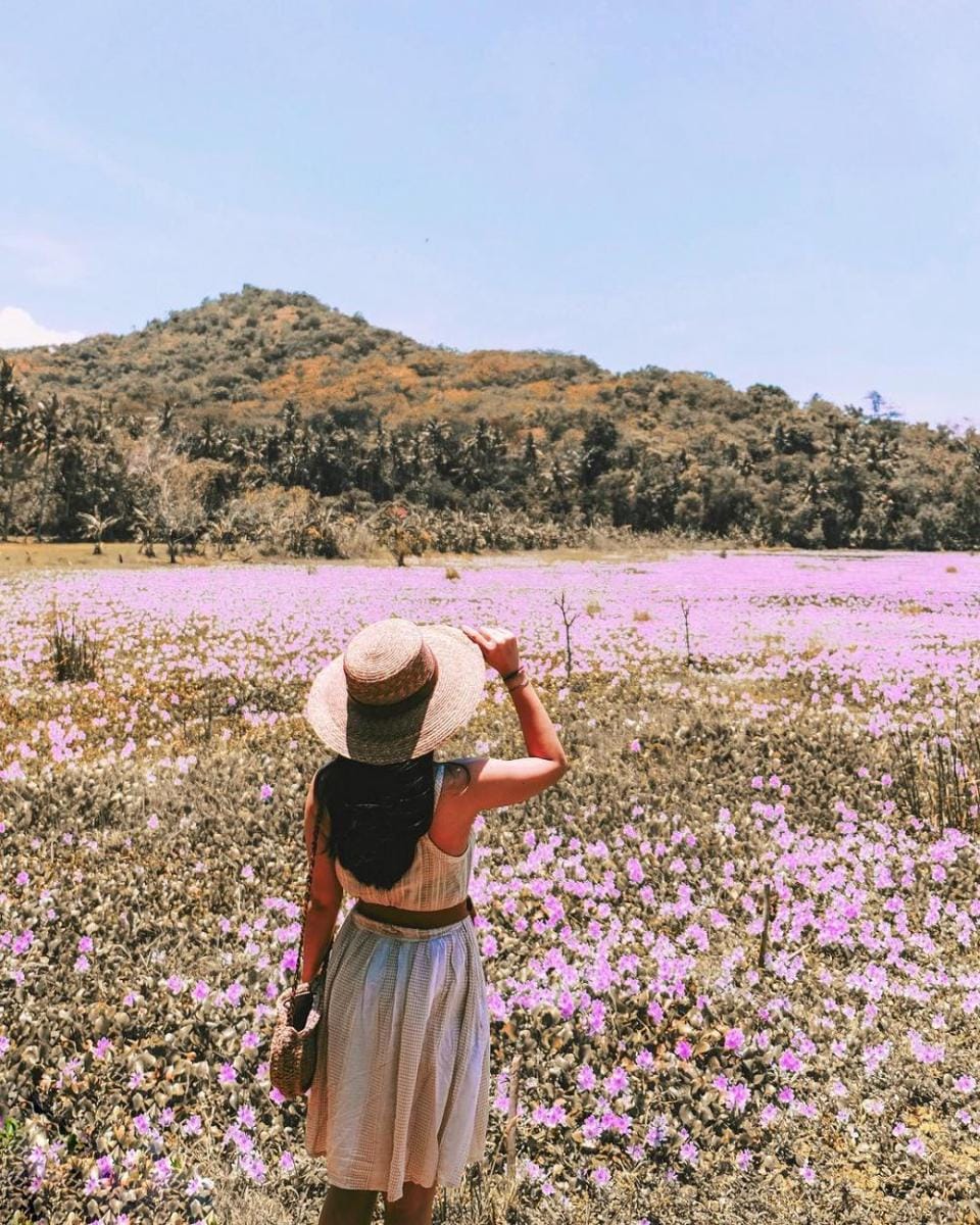 instagram.com/kadekarini