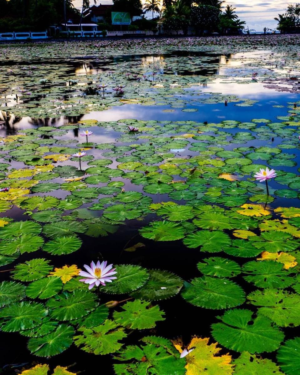 instagram.com/fendiapr