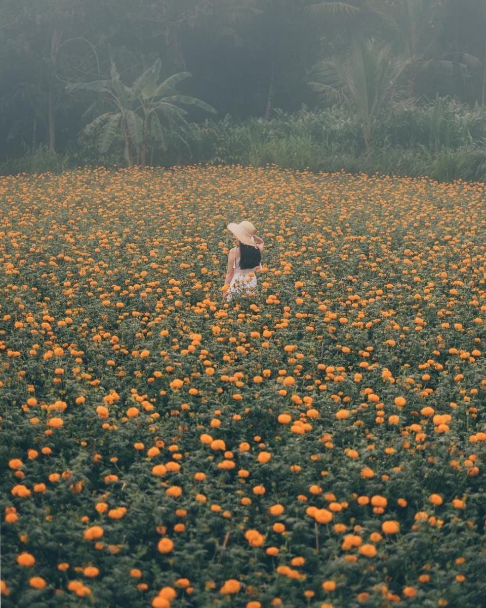 instagram.com/nyonyokecil