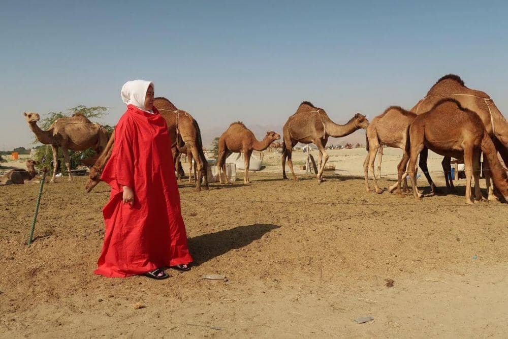 instagram.com/melly_goeslaw