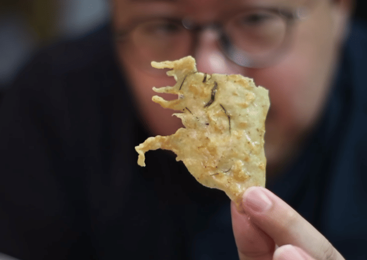 Instagram.com/noname