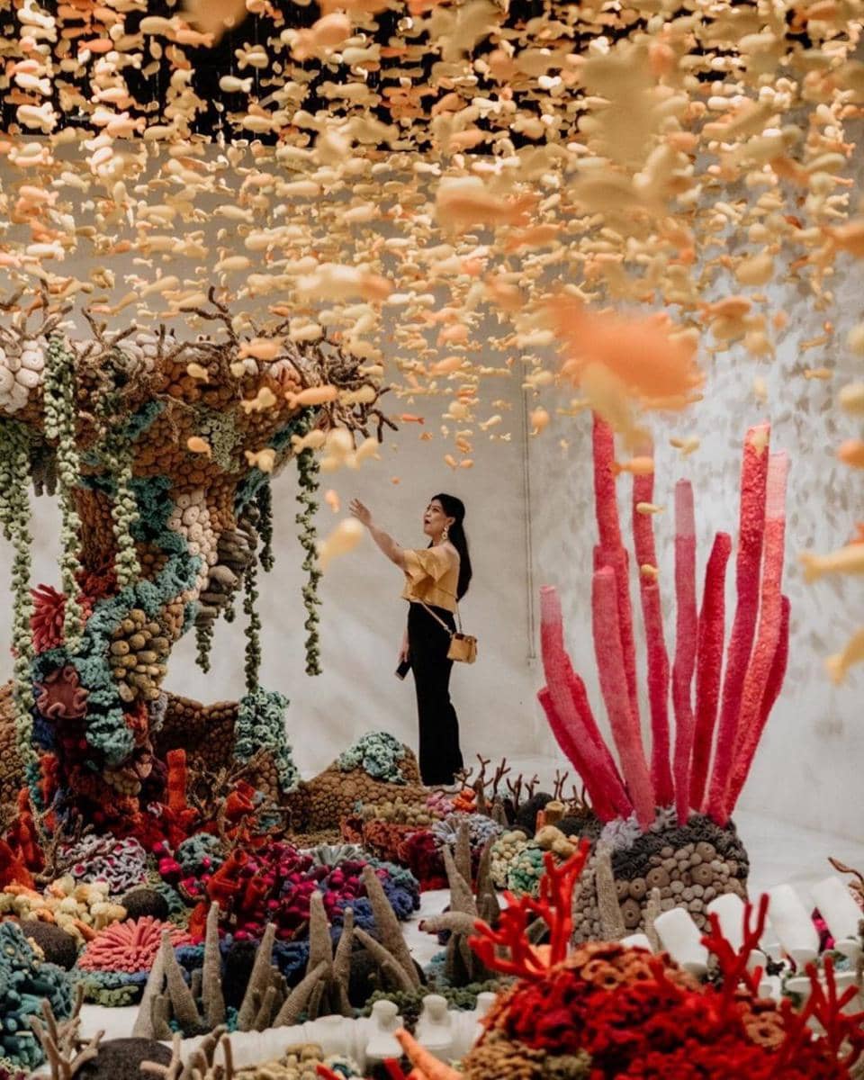 Instagram.com/rover_lust