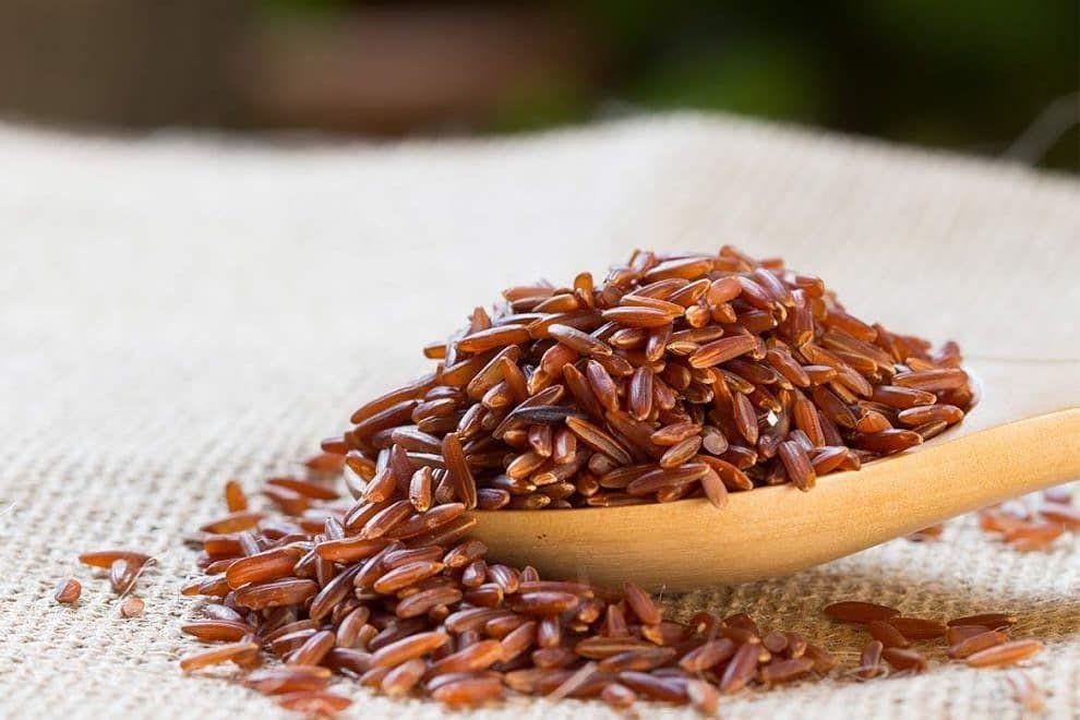 Instagram.com/zenzeroh2o