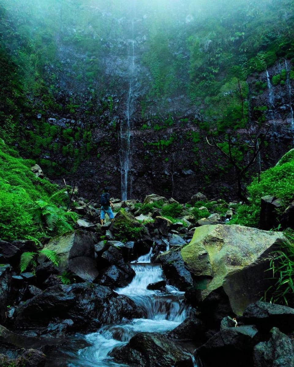 instagram.com/msyafudin