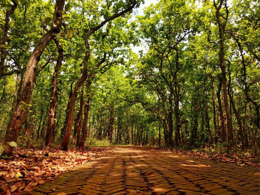 flickr.com/Md. Ruhul Amin