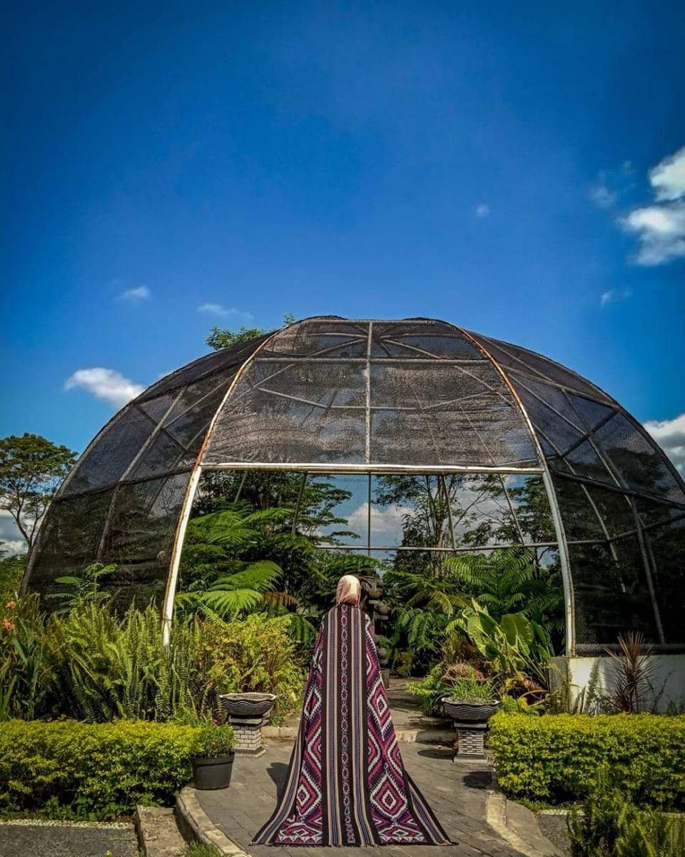 instagram.com/rkahelni