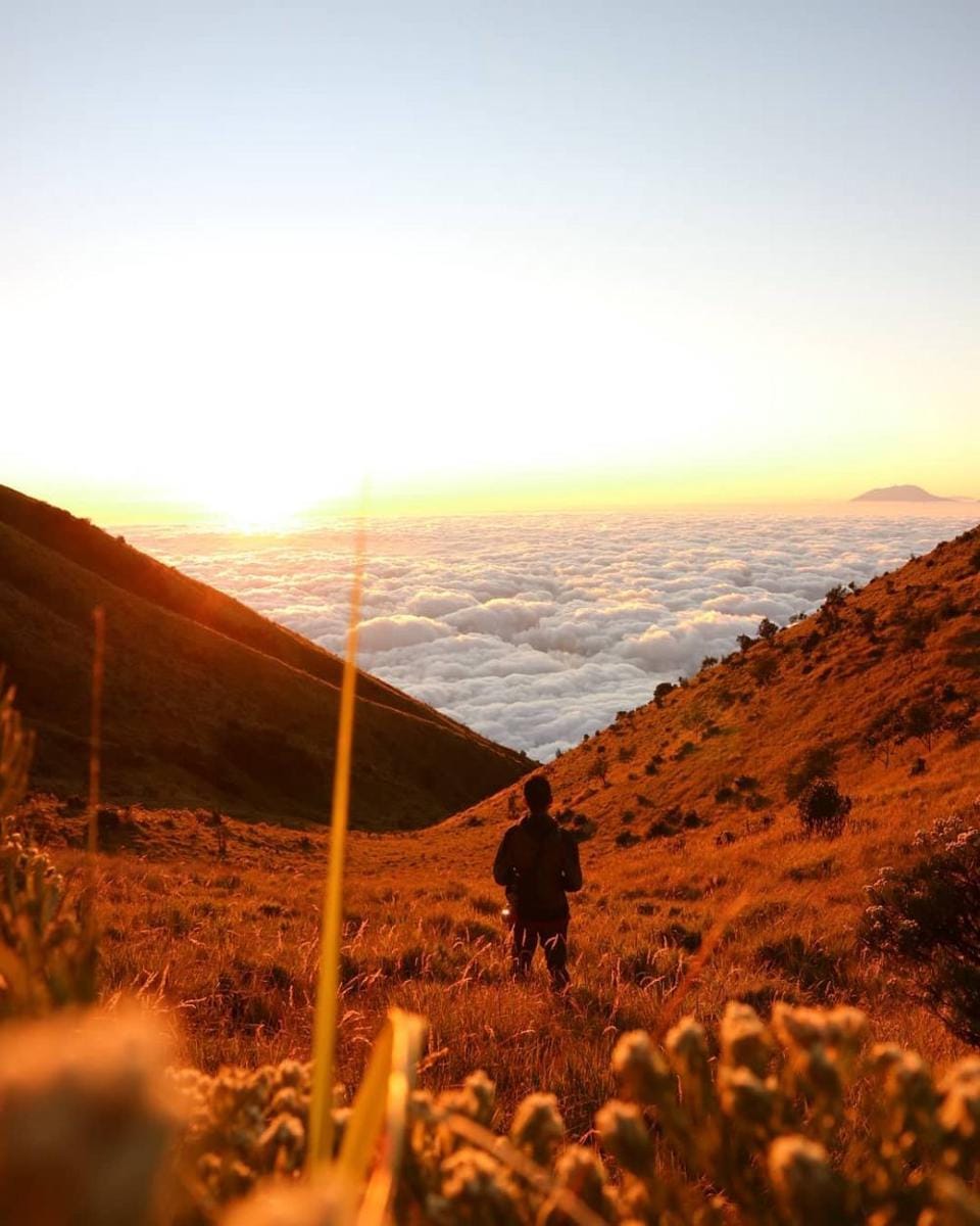 instagram.com/megi_rusfendra25