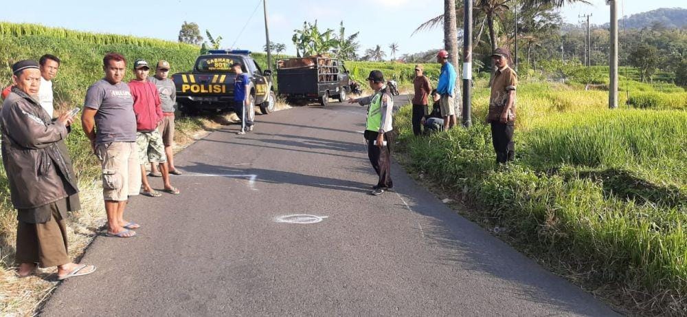 Dok.IDN Times/Istimewa