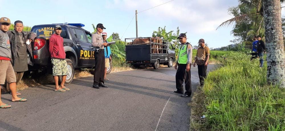 Dok.IDN Times/Istimewa