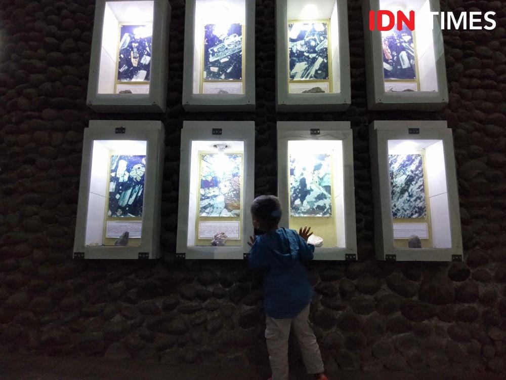 IDN Times/Fariz Fardianto