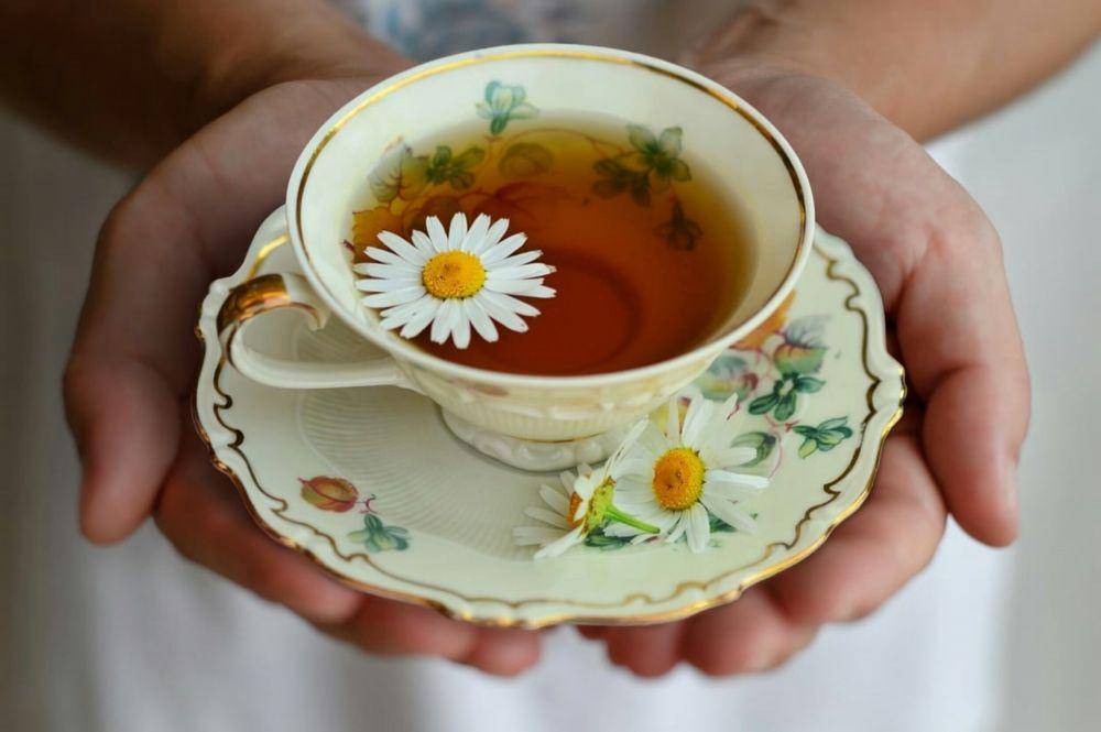 cupandleaf.com