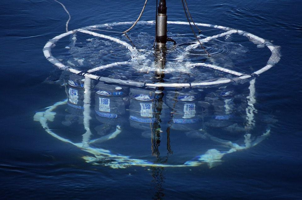 pixabay.com/Edu_Ruiz