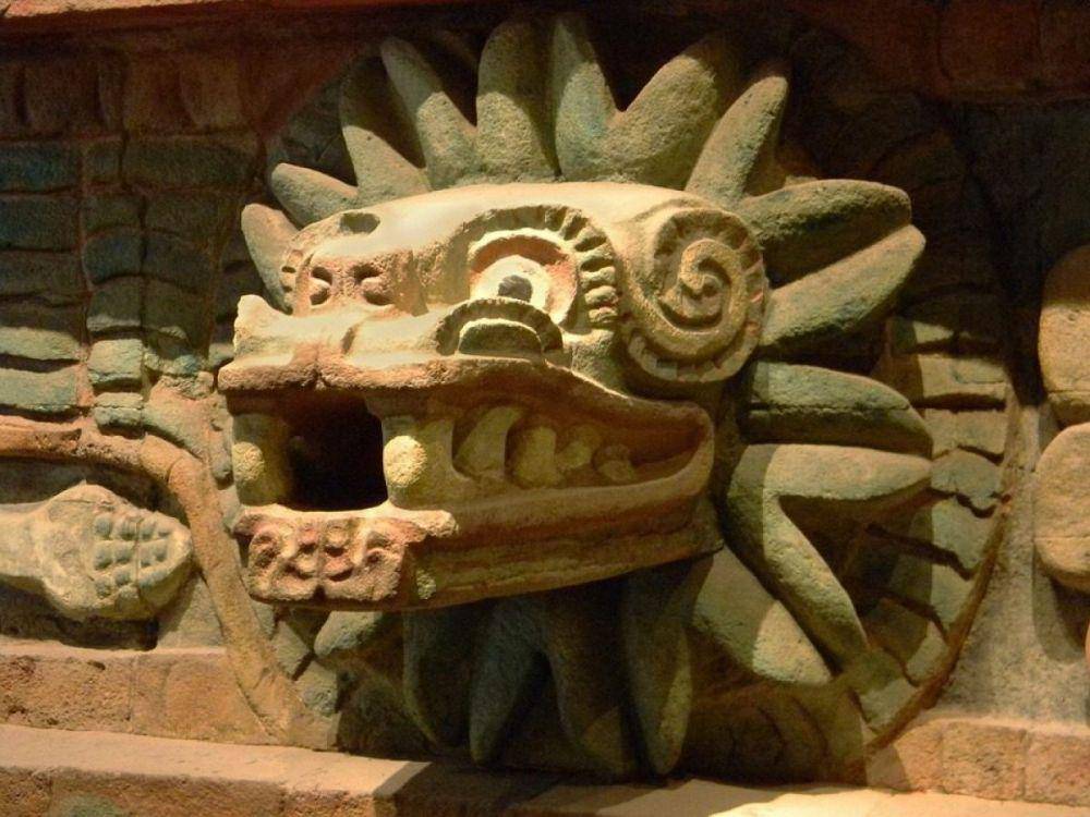 chapala.com