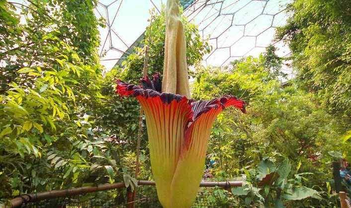 edenproject.com