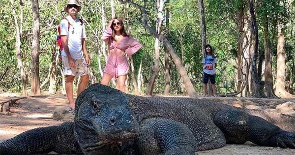 Instagram.com/bclsinclair