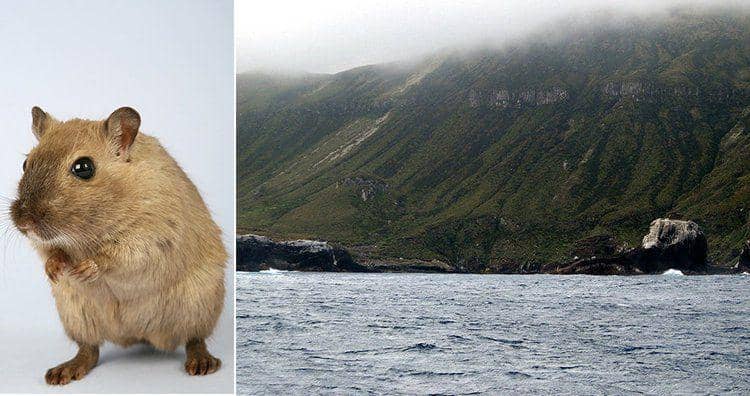 wikimedia.org/LawrieM